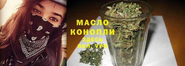 гидропоника Каменка